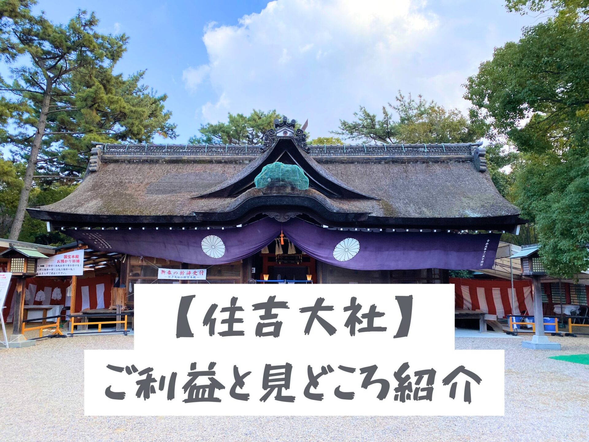 住吉大社のご利益と見どころ紹介！