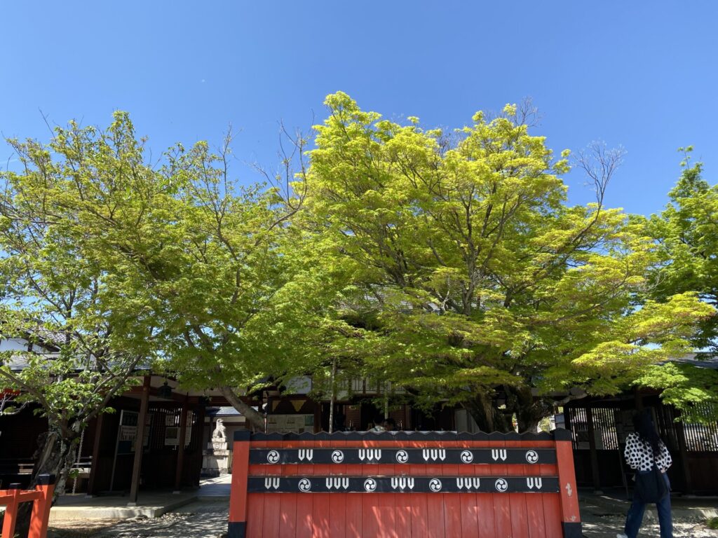 本殿