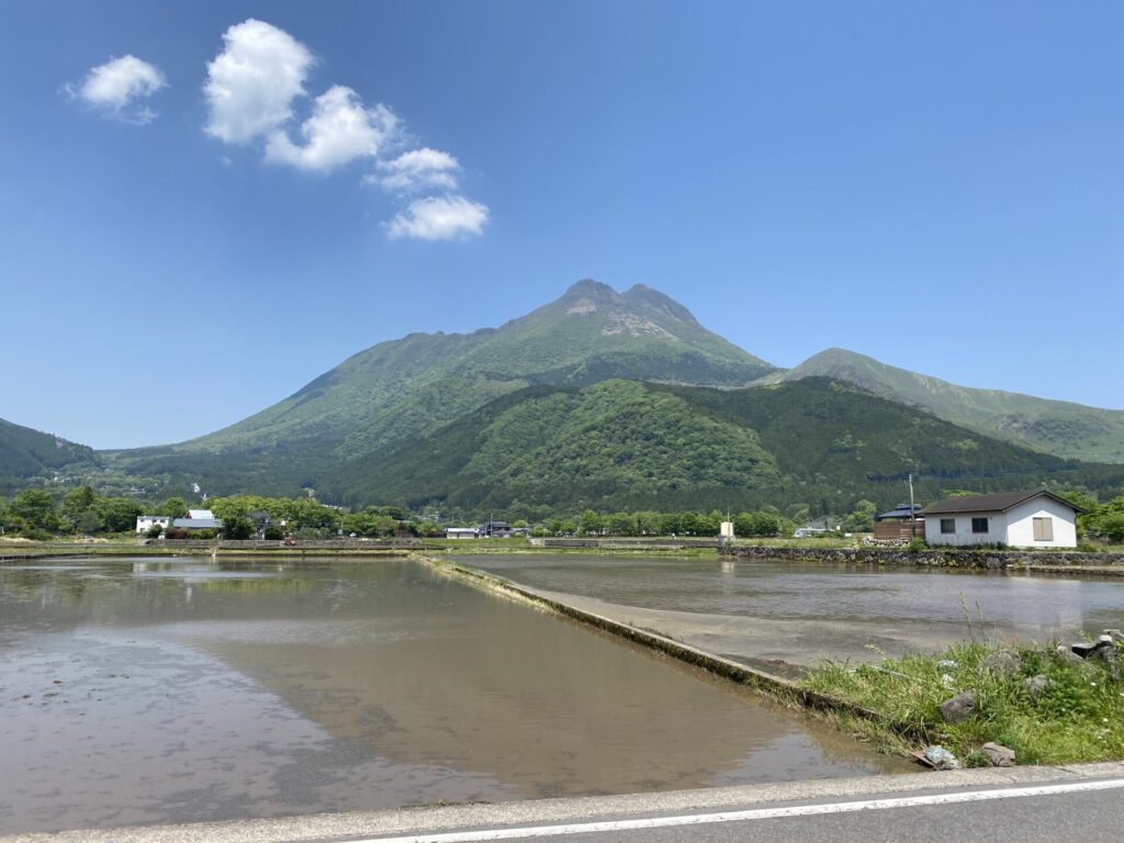 山