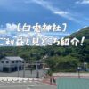 白兎神社のご利益と見どころ紹介！