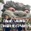 難波八阪神社のご利益と見どころ紹介！